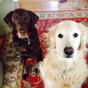 Meet your Posher, Sharon